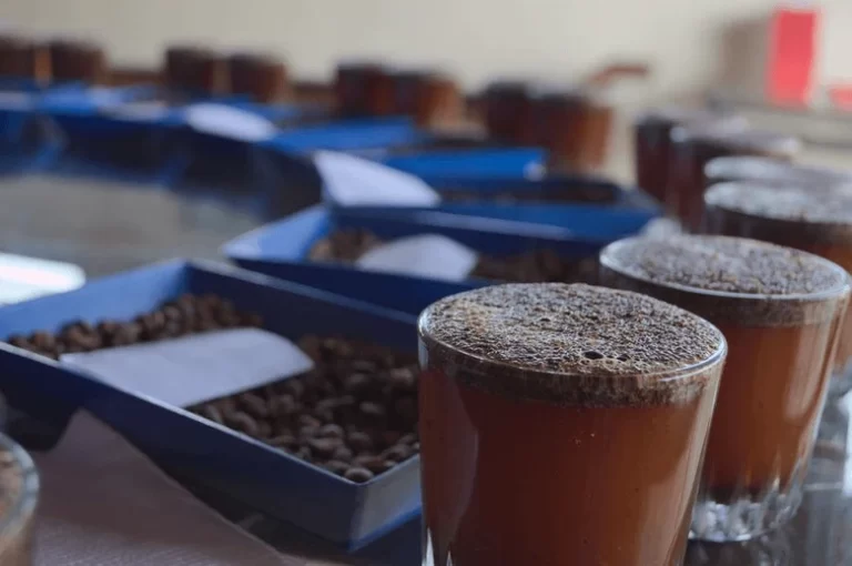 Common Mistakes in Coffee Cupping and How to Avoid Them