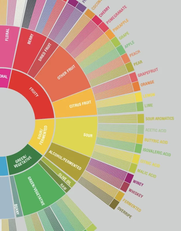 Decoding Coffee Flavors: What to Look for During Cupping