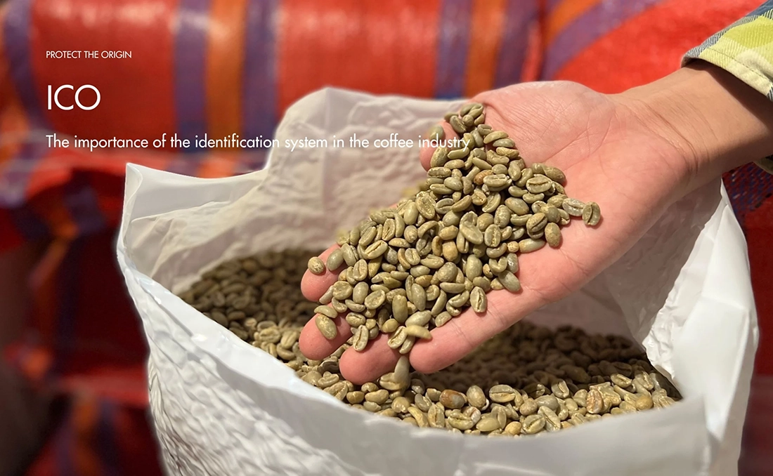 Other Global Standards: ICO and Regional Systems