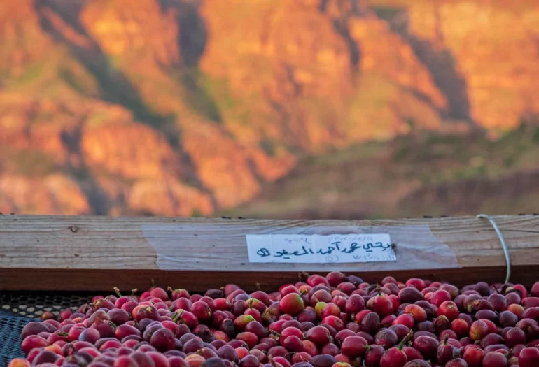 Notable Specialty Coffee Auctions Around the World