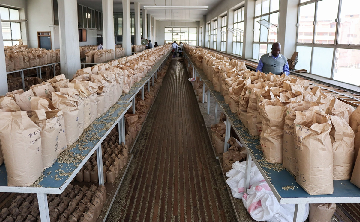 What Is a Specialty Coffee Auction and How Does It Work?