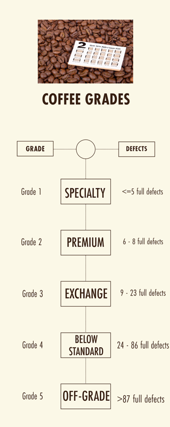 Conclusion: Why Coffee Classification is Essential