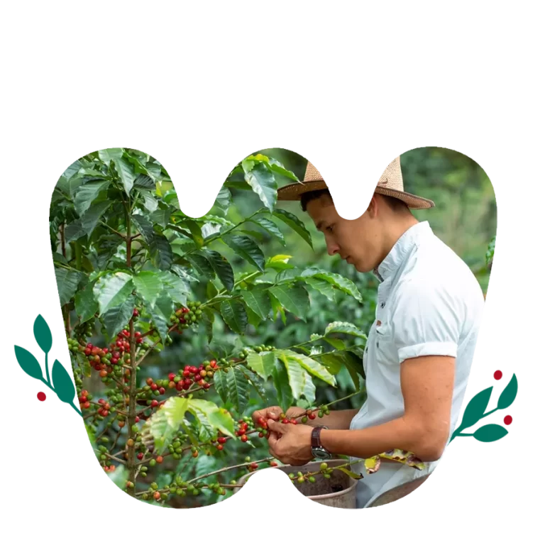 Finca El Ocaso - main