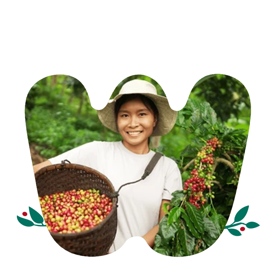 santa maria santa maria specialty coffee - main