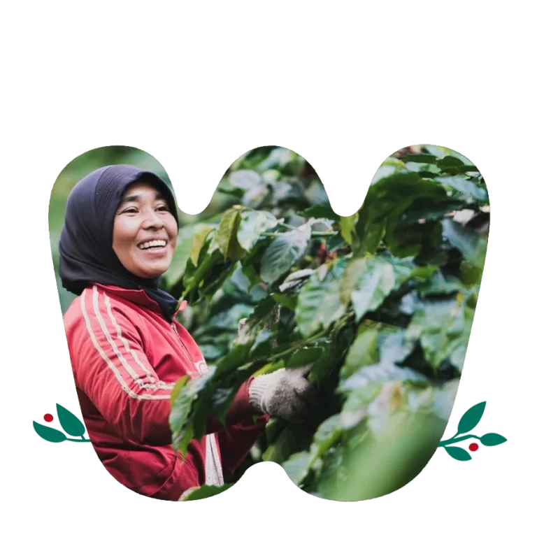 Buenavista Specialty coffee - main