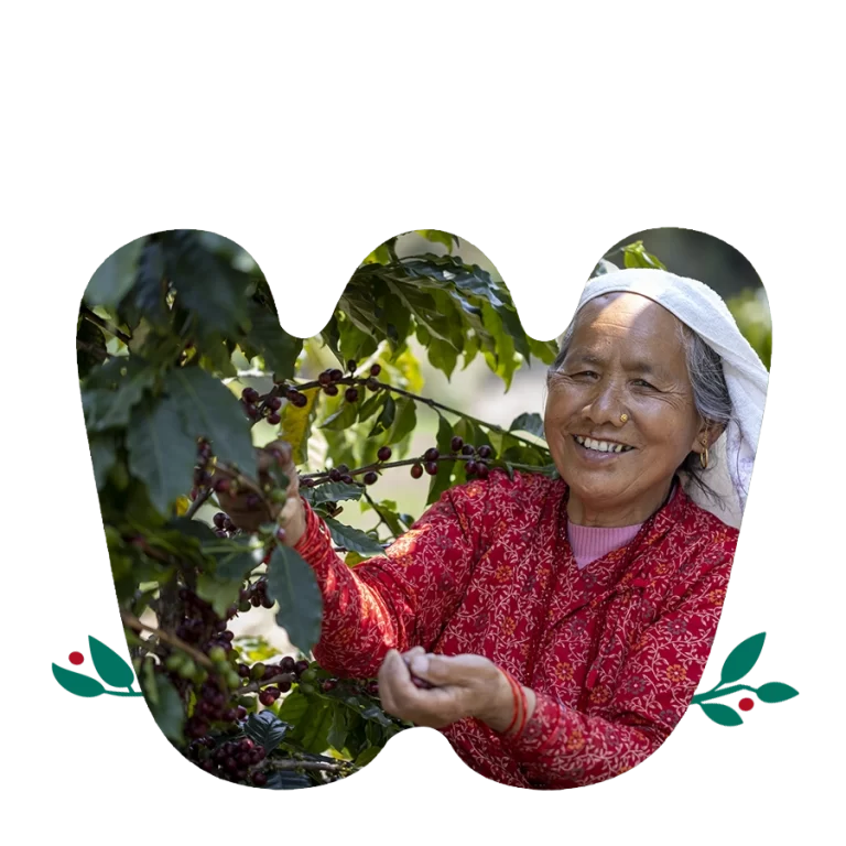 Hamasho Village Specialty coffee- main