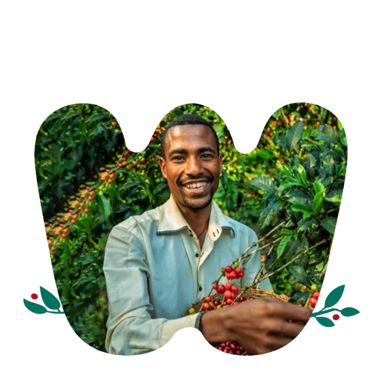 Adola specialty Coffee - main