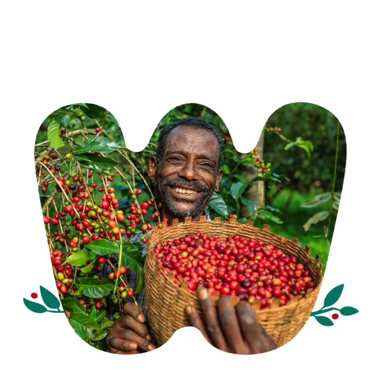 Hamasho specialty coffee- main